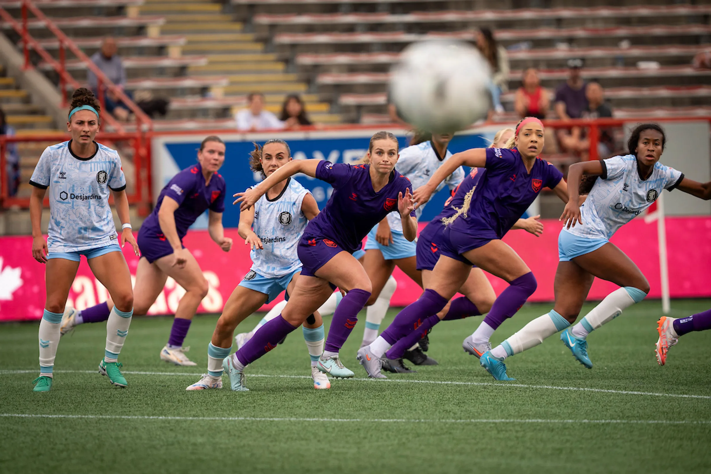 Calgary Wild FC fans celebrating together in the stands